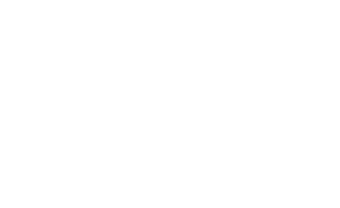 Įmonės Pavadinimas